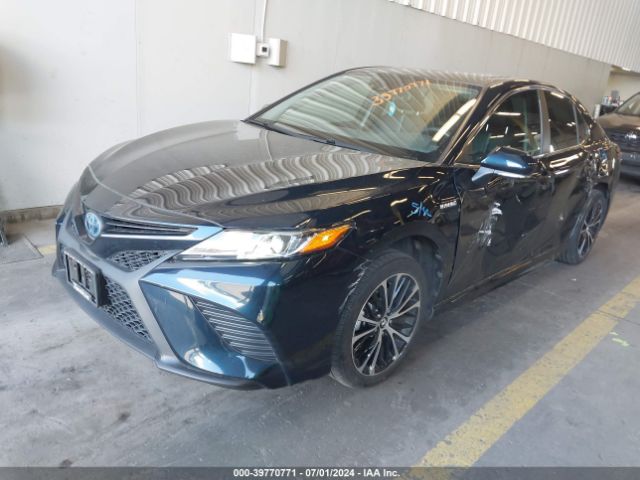 4T1J31AK4LU529543 Toyota Camry Se Hybrid