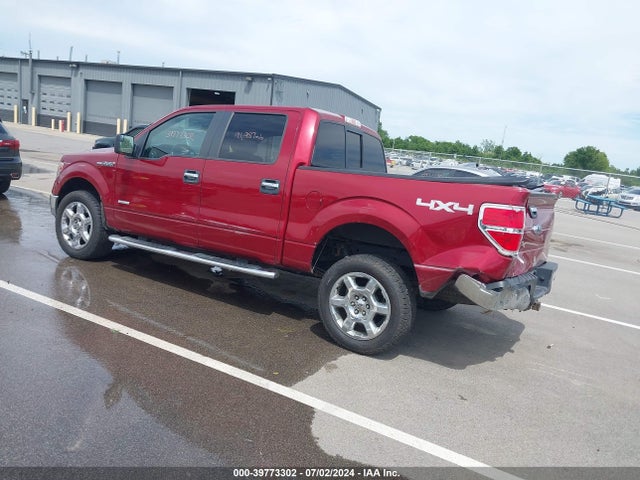 Ford F-150 Xlt 2014 1FTFW1ET5EKD50320 Image 3