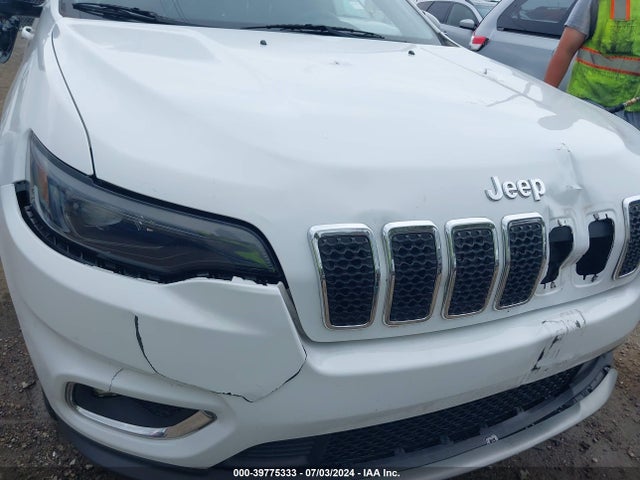 Jeep Cherokee Limited 4x4 2019 1C4PJMDX2KD385793 Image 6