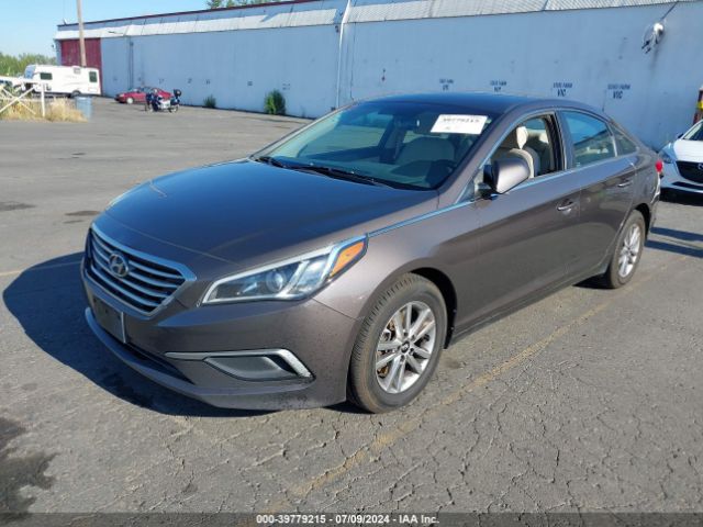 5NPE24AF8GH384990 Hyundai SONATA SE