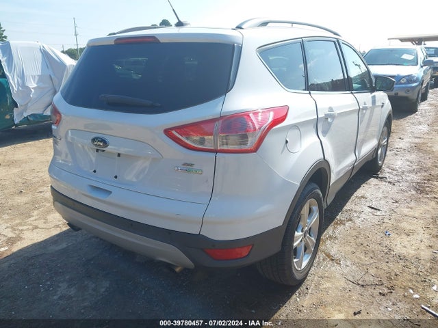 Ford ESCAPE SE 2014 1FMCU0GX4EUA84114 Image 4