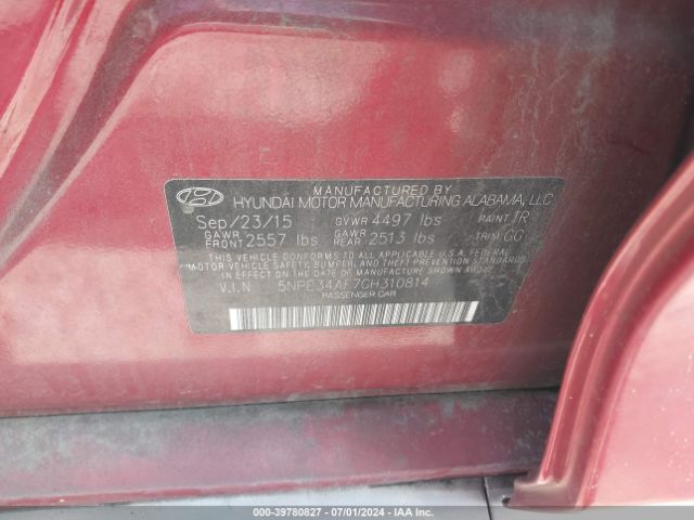 5NPE34AF7GH310814 Hyundai Sonata Sport