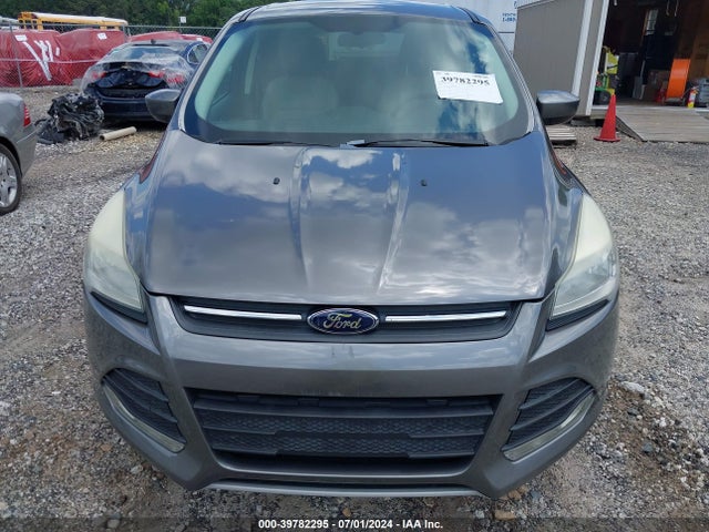 Ford ESCAPE SE 2014 1FMCU0GX0EUB09784 Image 6