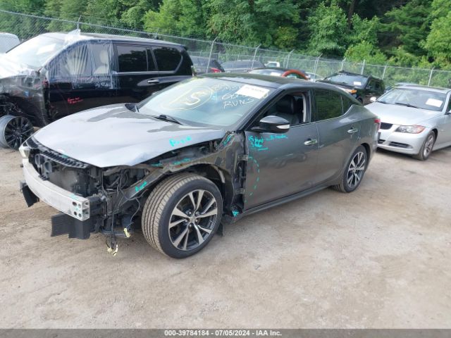 1N4AA6AP6GC446605 Nissan Maxima 3.5 Sl