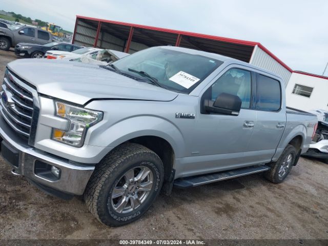1FTEW1EG5FKF04363 Ford F-150 Xlt