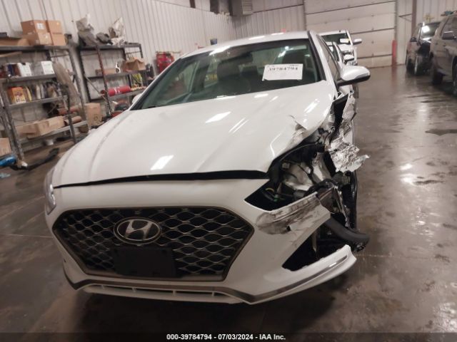 5NPE34AF8KH812210 Hyundai SONATA SEL