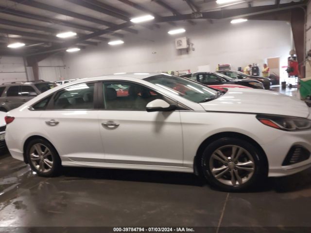 5NPE34AF8KH812210 Hyundai SONATA SEL