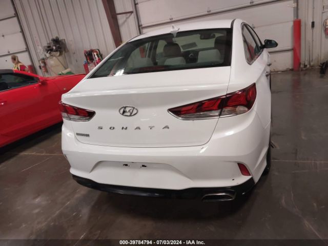 5NPE34AF8KH812210 Hyundai SONATA SEL