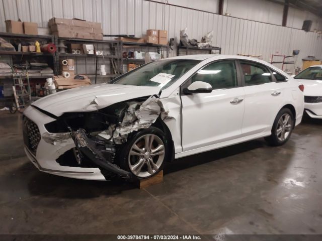 5NPE34AF8KH812210 Hyundai SONATA SEL
