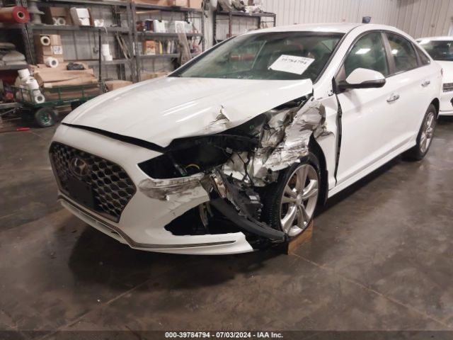 5NPE34AF8KH812210 Hyundai SONATA SEL