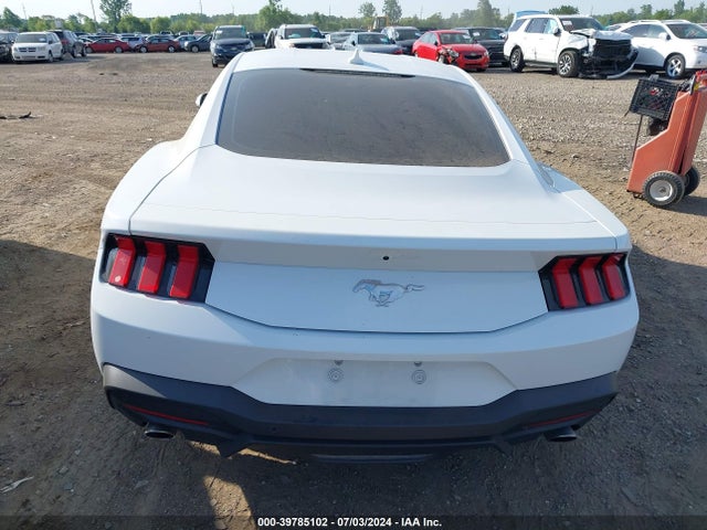 Ford Mustang Ecoboost Fastback 2024 1FA6P8TH6R5106982 Image 16
