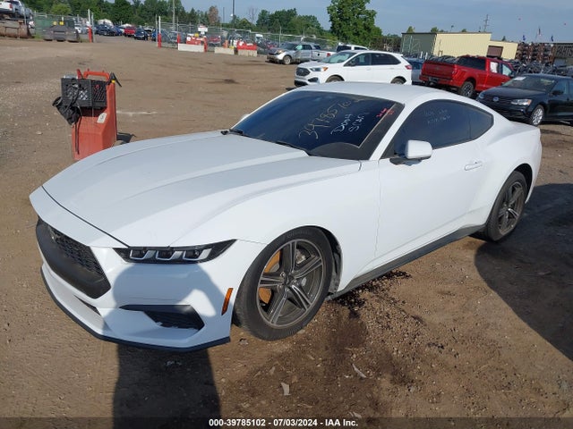Ford Mustang Ecoboost Fastback 2024 1FA6P8TH6R5106982 Image 2
