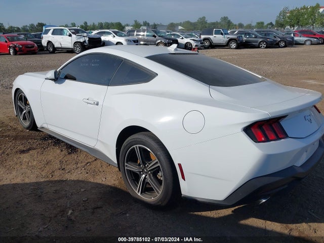 Ford Mustang Ecoboost Fastback 2024 1FA6P8TH6R5106982 Image 3