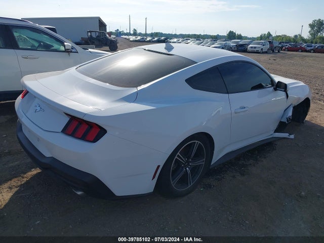 Ford Mustang Ecoboost Fastback 2024 1FA6P8TH6R5106982 Image 4
