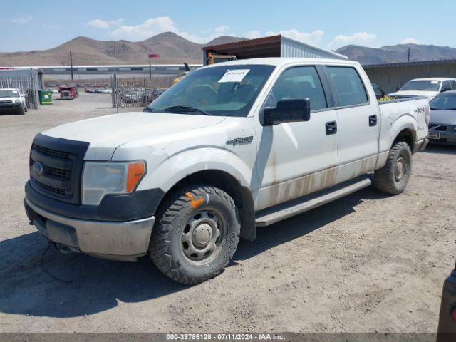 1FTFW1EF4EFC18801 Ford F-150 Xl