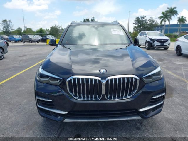 5UXTA6C06P9P88313 BMW X5 Phev Xdrive45e