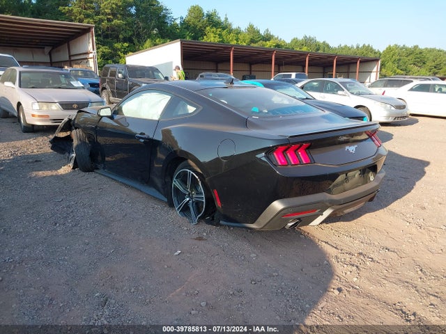 Ford Mustang Ecoboost Premium Fastback 2024 1FA6P8TH3R5120628 Image 3