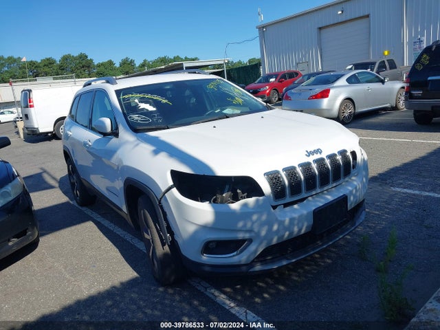 Jeep Cherokee Limited 4x4 2019 1C4PJMDX6KD341926 Image 1
