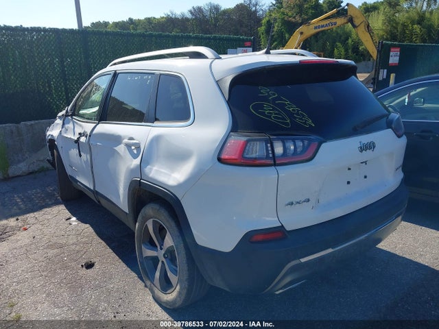 Jeep Cherokee Limited 4x4 2019 1C4PJMDX6KD341926 Image 3