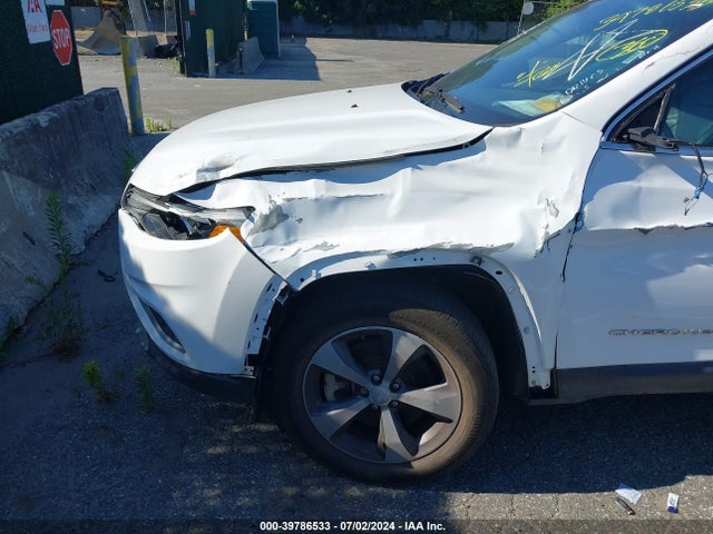 Jeep Cherokee Limited 4x4 2019 1C4PJMDX6KD341926 Image 6