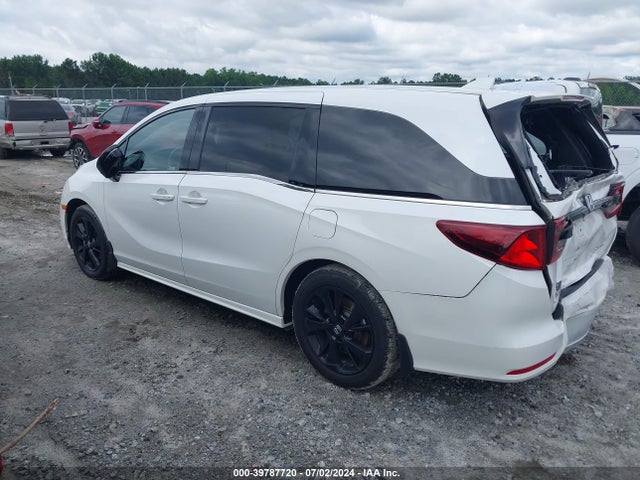 Honda Odyssey Sport 2023 5FNRL6H72PB033967 Image 3