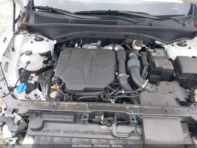5NMS5DAL2PH585426 Hyundai Santa Fe Calligraphy