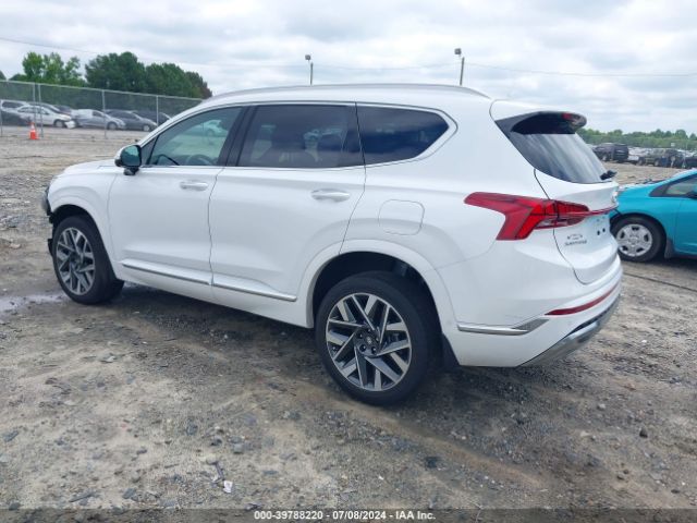 5NMS5DAL2PH585426 Hyundai Santa Fe Calligraphy