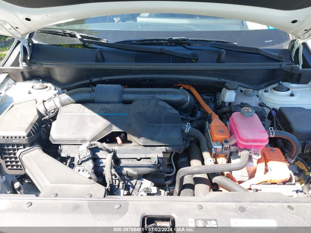 KNDPVCAG4P7013901 KIA Sportage Hybrid Ex