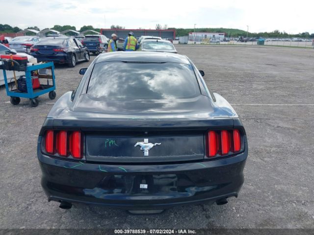 1FA6P8AM5F5374143 Ford Mustang V6