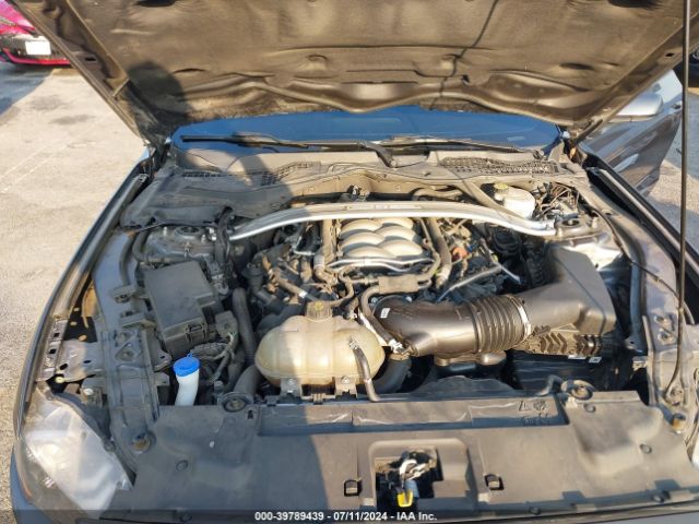 1FA6P8CF8L5176909 Ford Mustang Gt Fastback