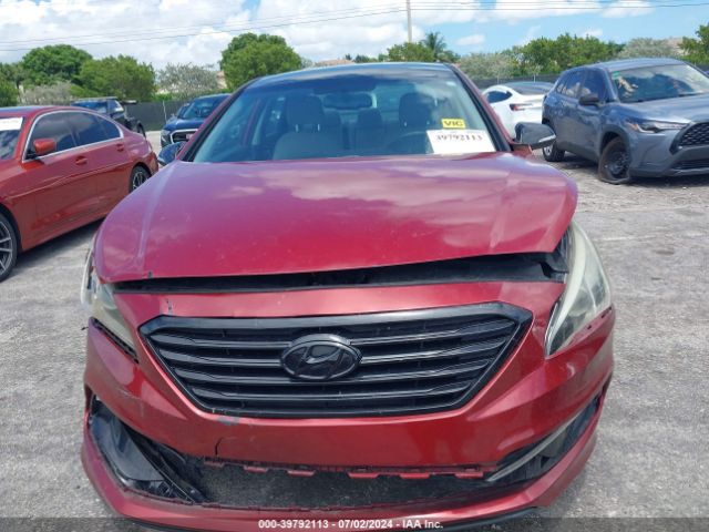 5NPE34AF9FH158646 Hyundai Sonata Sport