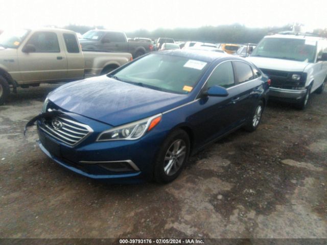 5NPE24AF0GH360294 Hyundai SONATA SE