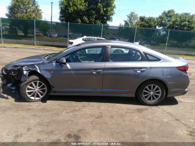 5NPE24AFXJH683582 Hyundai SONATA SE