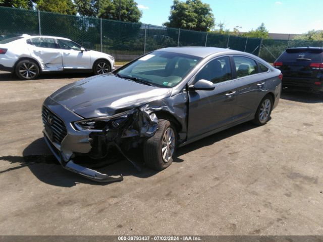 5NPE24AFXJH683582 Hyundai SONATA SE
