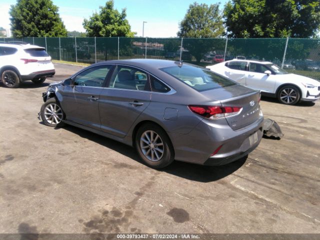 5NPE24AFXJH683582 Hyundai SONATA SE