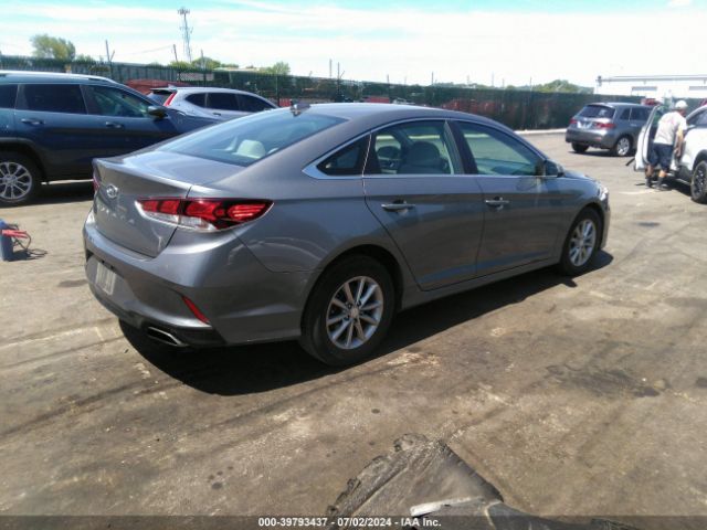 5NPE24AFXJH683582 Hyundai SONATA SE