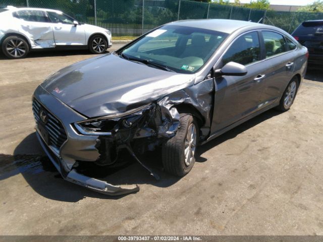 5NPE24AFXJH683582 Hyundai SONATA SE