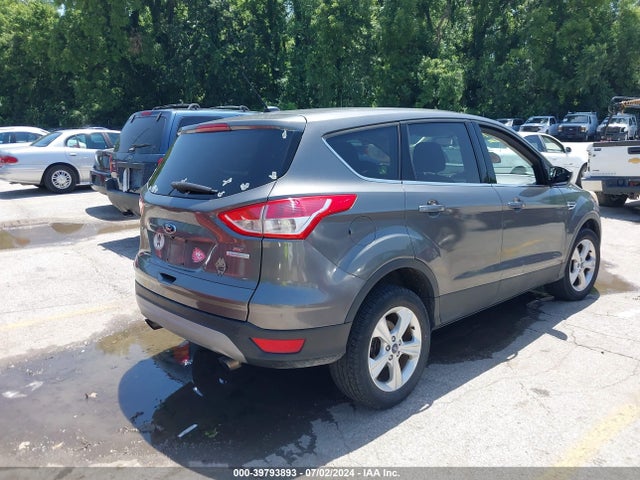 Ford ESCAPE SE 2014 1FMCU0GX5EUB07142 Image 4
