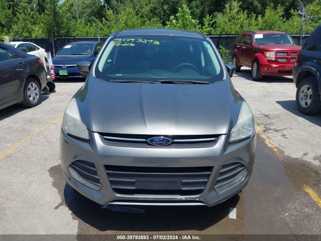 Ford ESCAPE SE 2014 1FMCU0GX5EUB07142 Image 6