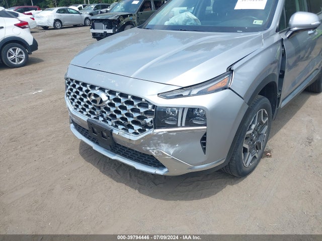 Hyundai Santa Fe Limited 2021 5NMS4DAL6MH348050 Image 6