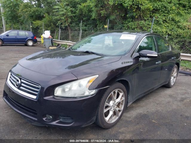 1N4AA5AP5EC498086 Nissan Maxima 3.5 Sv