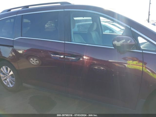 5FNRL5H4XEB031185 Honda ODYSSEY EX