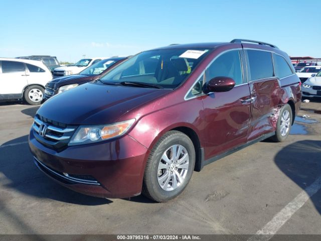 5FNRL5H4XEB031185 Honda ODYSSEY EX
