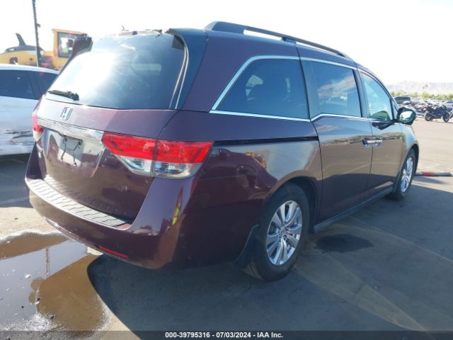 5FNRL5H4XEB031185 Honda ODYSSEY EX