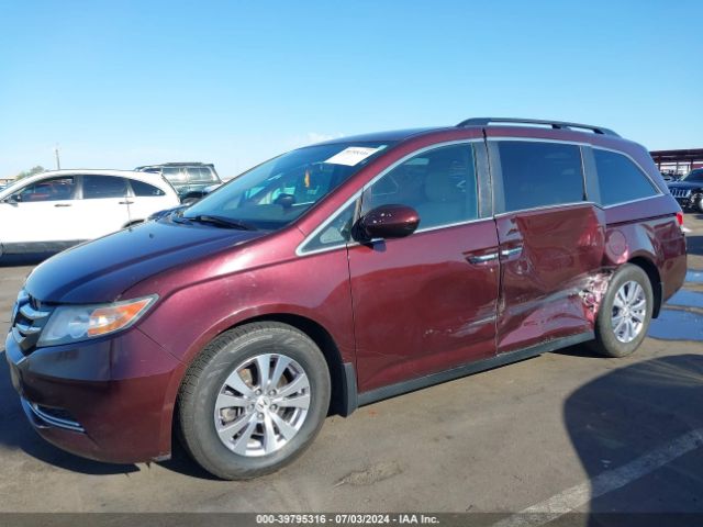5FNRL5H4XEB031185 Honda ODYSSEY EX