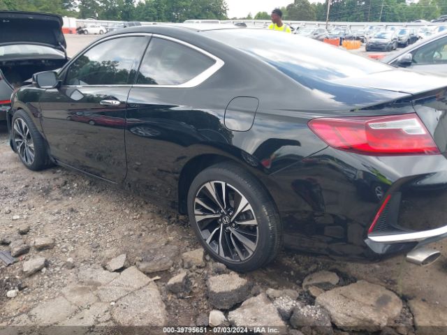 1HGCT2B8XHA004065 Honda Accord Ex-l V6