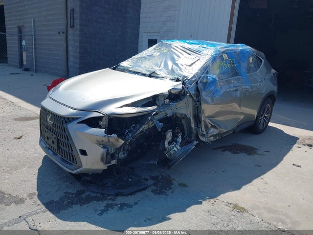 Lexus t24a-fts 2024 2T2GGCEZ5RC049342 Image 2