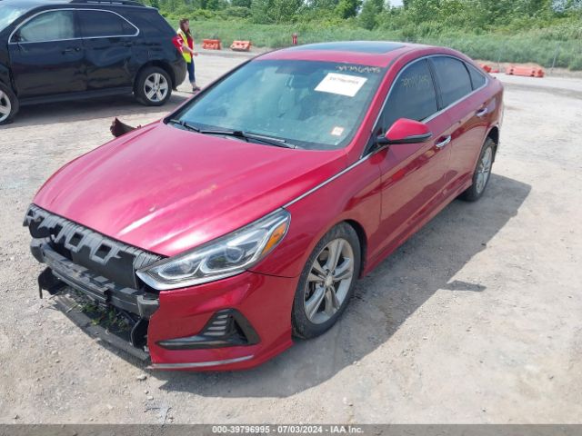 5NPE34AF1JH628855 Hyundai Sonata Limited