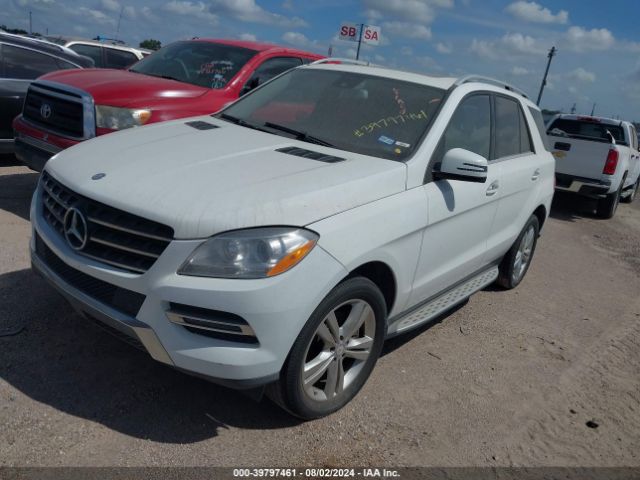 4JGDA5JB5FA619056 Mercedes-Benz ML 350