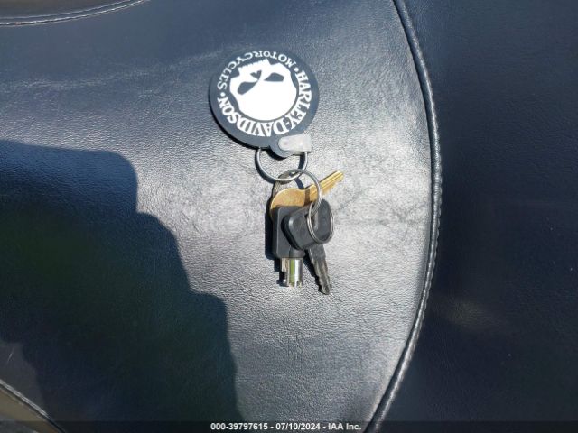 2010 HARLEY-DAVIDSON FLSTF 1HD1BX518AB042817 Photo 10